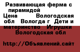 Развивающая ферма с пирамидой  Kiddieland › Цена ­ 700 - Вологодская обл., Вологда г. Дети и материнство » Игрушки   . Вологодская обл.